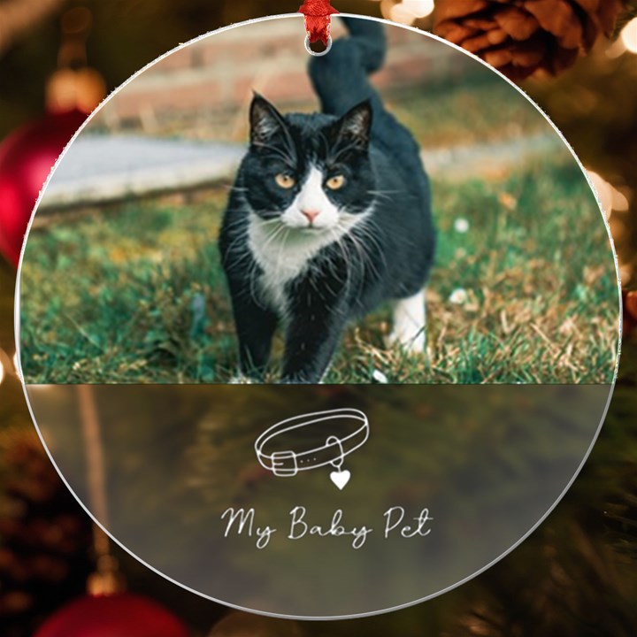 Personalized Name Photo Pets UV Print Acrylic Ornament Round UV Print Acrylic Ornament Round